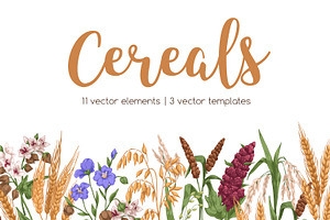 Cereal plants set + backgrounds, a Food Illustration by Good Studio