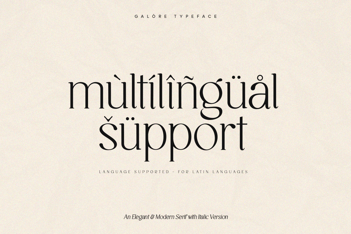 Galore - Elegant Modern Serif, a Serif Font by TypeFounder (Photo 10 of 12)