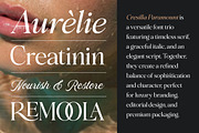 Cresilla Paramount - Font Trio, a Serif Font by Suza Studio (Thumbnail 11 of 13)