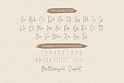 Madyra Monoline Script, a Script Font by Forberas Club (Thumbnail 8 of 9)