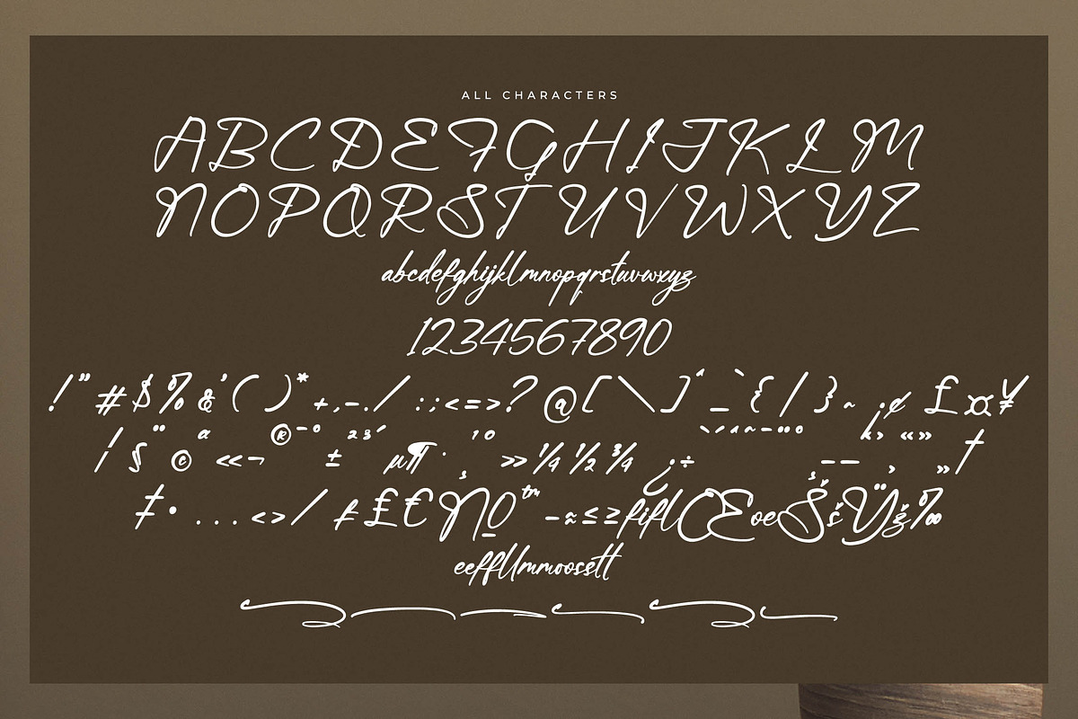 Michaello Refflection, a Script Font by Integritype Studio (Photo 7 of 15)