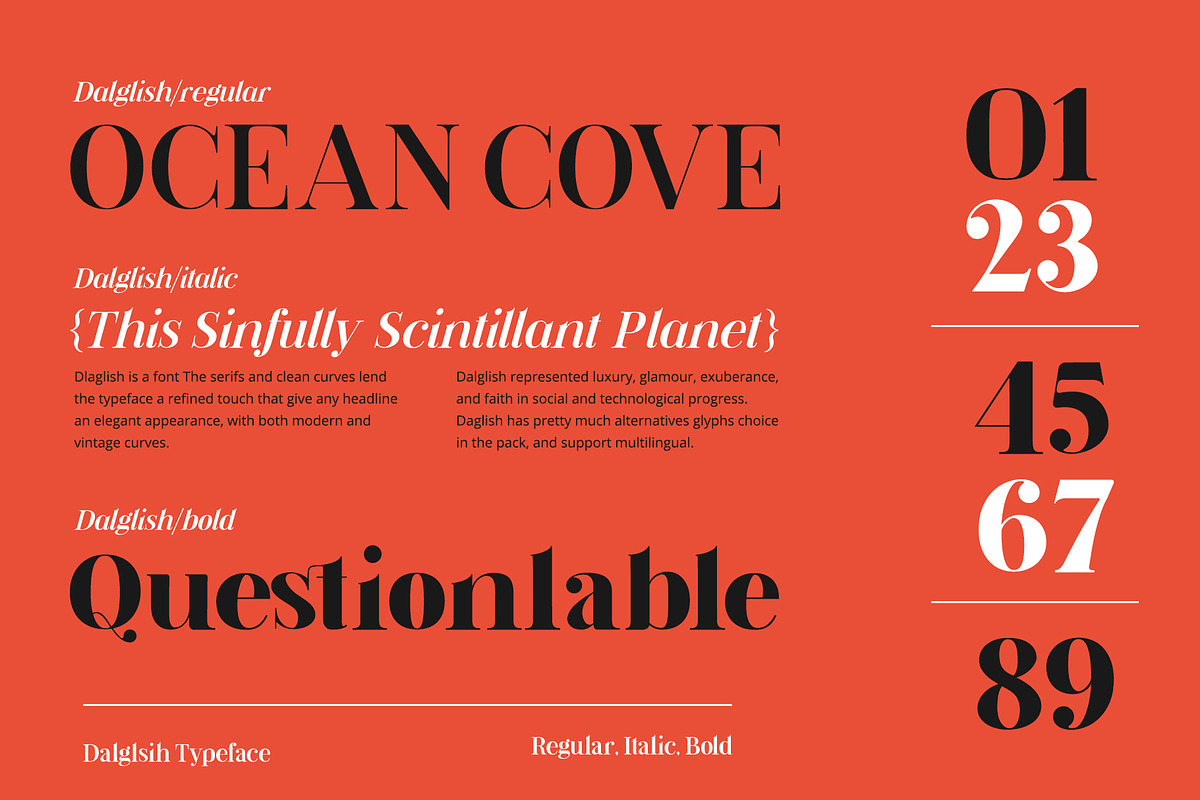 Dalglish Typeface, a Serif Font by Damelev (Photo 8 of 13)