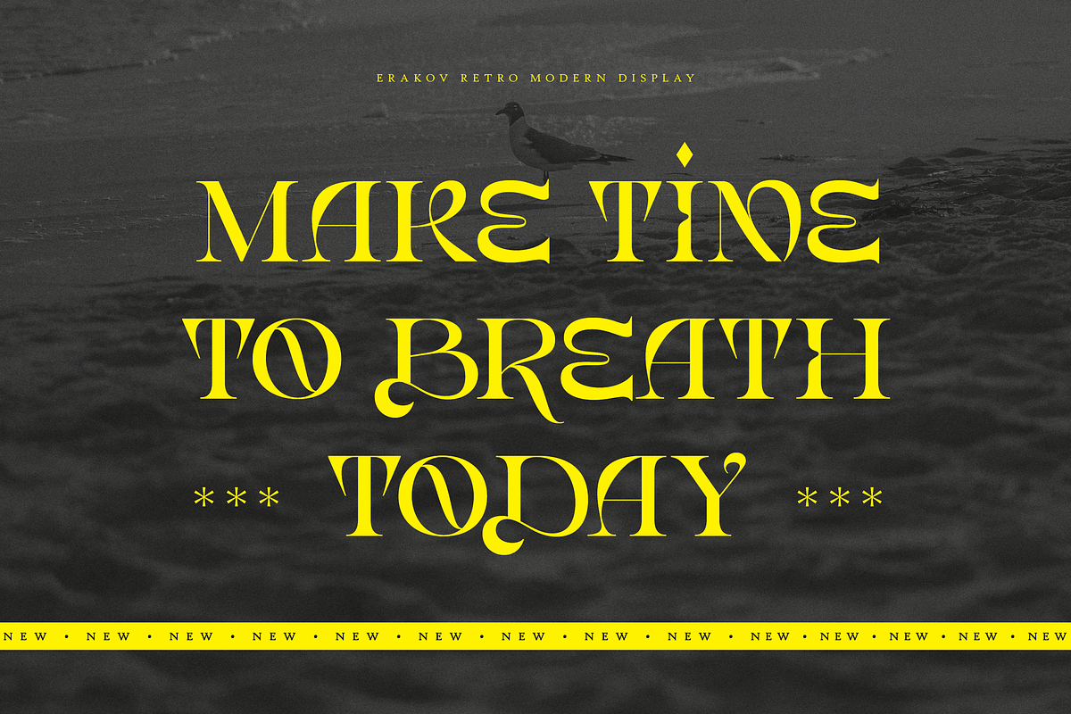 Erakov - Retro Modern Serif Display, a Serif Font by Namara Creative Studio (Photo 2 of 9)