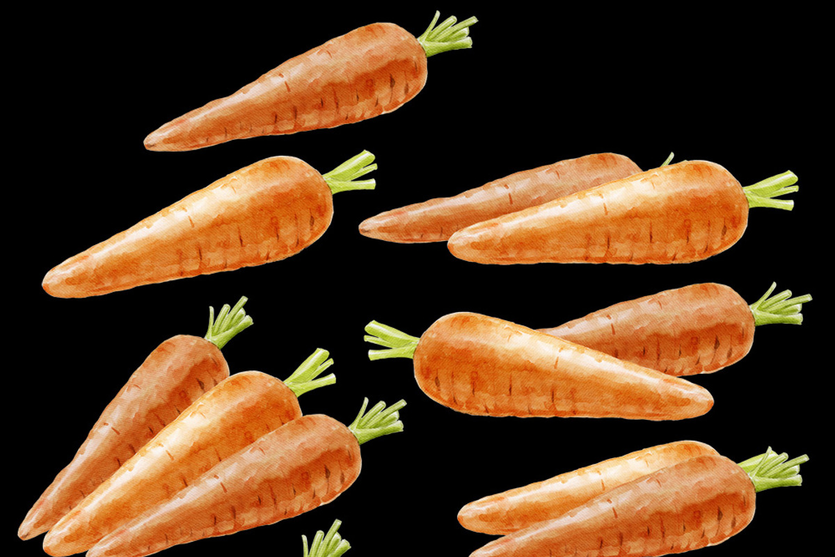 Carrot watercolor illustrations, a Food Illustration by wedraw (Photo 3 of 3)