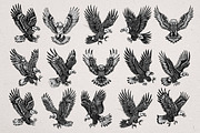 36 Eagle Vector Illustrations, an Animal Illustration by Alternate Studio (Thumbnail 5 of 7)