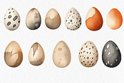 Watercolor chicken clipart, an Object Graphic by MyLittleMeow (Thumbnail 14 of 18)