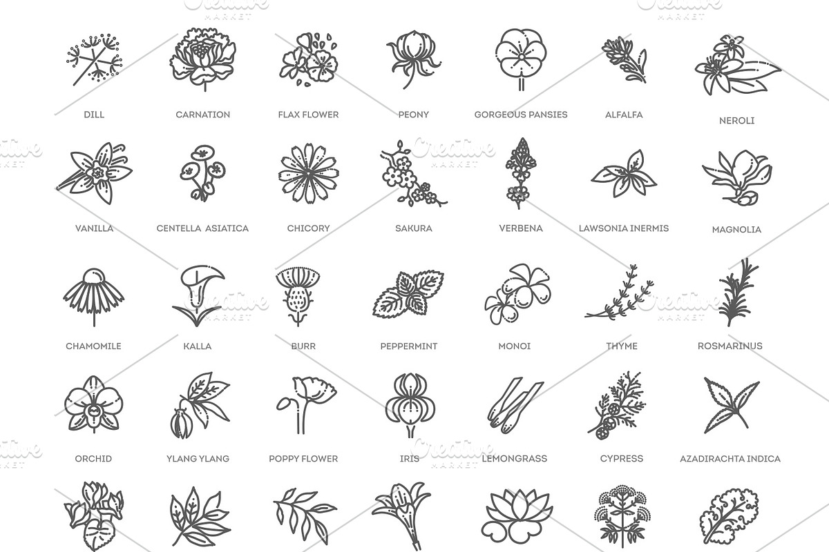 Set of Flowers and Herbs Icons, a Healthcare Illustration by Tettygreen (Photo 3 of 4)