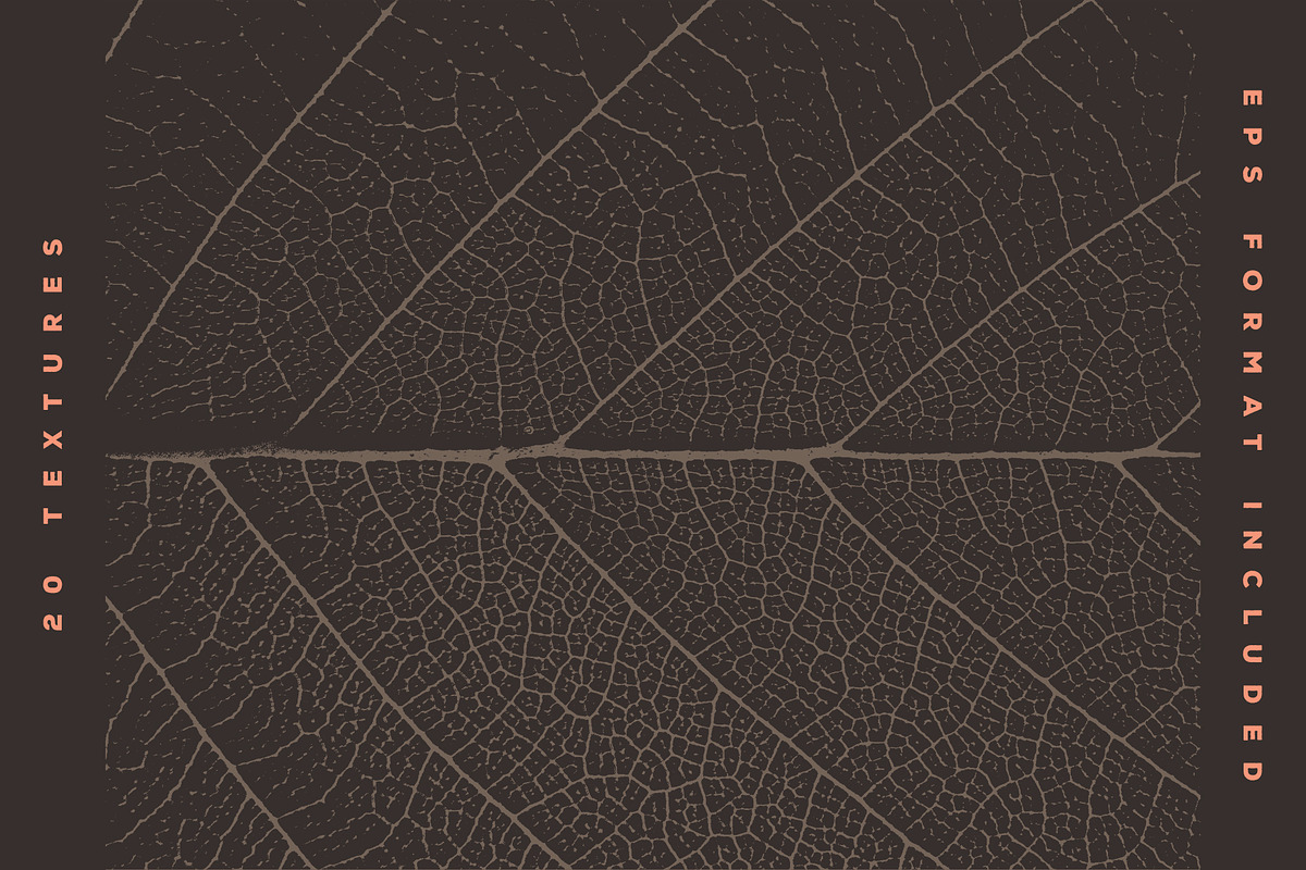 Nature Textures Volume One, a Texture Graphic by Skout Supply Co. (Photo 7 of 8)