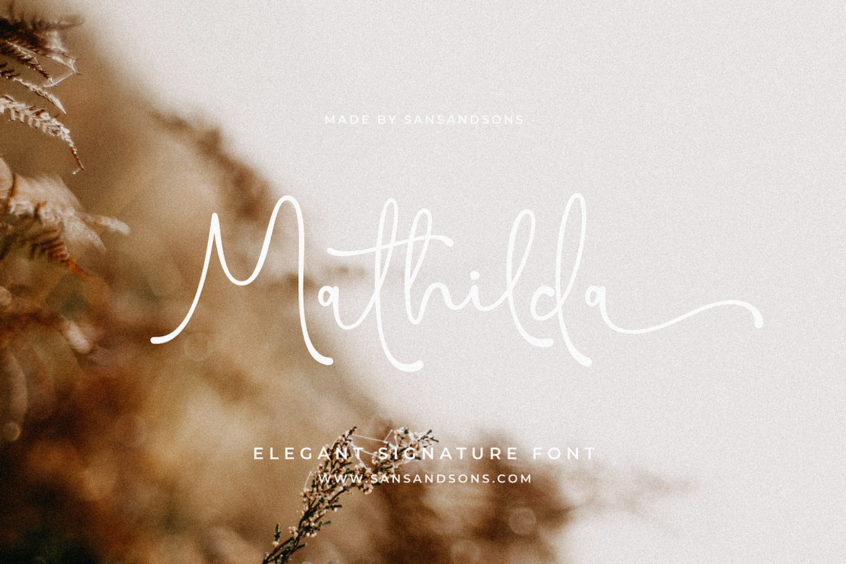 Modern Font Collection, a Serif Font by Sans & Sons (Photo 21 of 21)