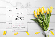 Nafigat Script, a Script Font by Stipline Studios (Thumbnail 7 of 14)
