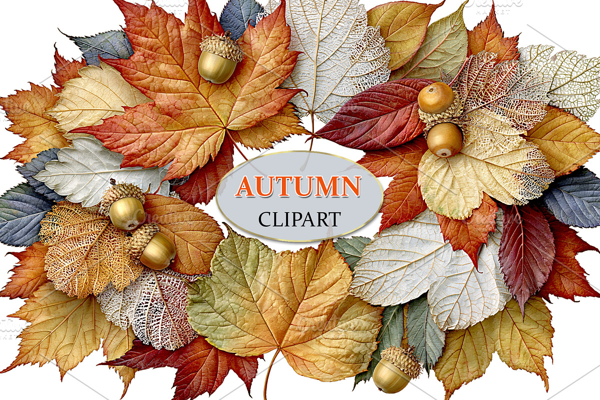 Luxury Clipart Autumn Leaves Wreath, a Decorative Illustration by Area (Photo 11 of 40)