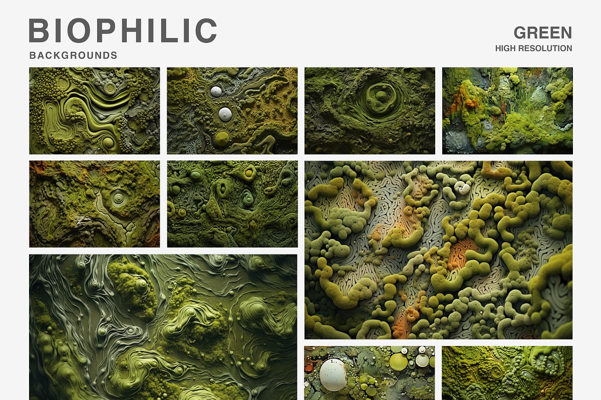 80 Biophilic backgrounds, a Background Graphic by Polli Deeva (Photo 7 of 16)