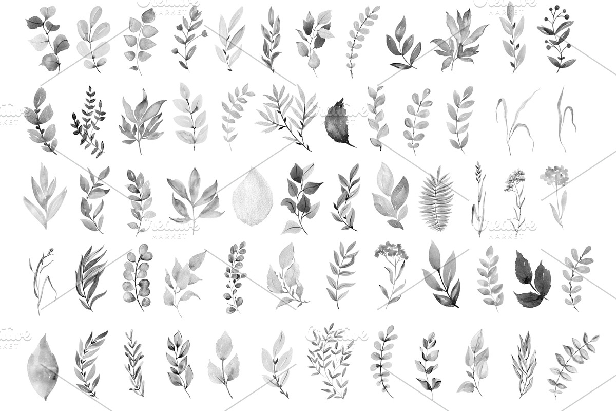 120 Watercolor brushes for photoshop, a Brush Add-On by TaPilipa (Photo 3 of 7)