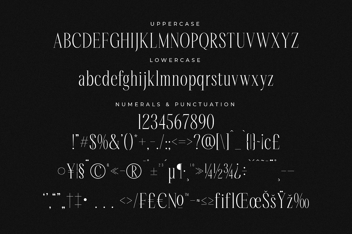 Rastofi Modern Ligature Serif, a Serif Font by Letterena Studios (Photo 13 of 15)