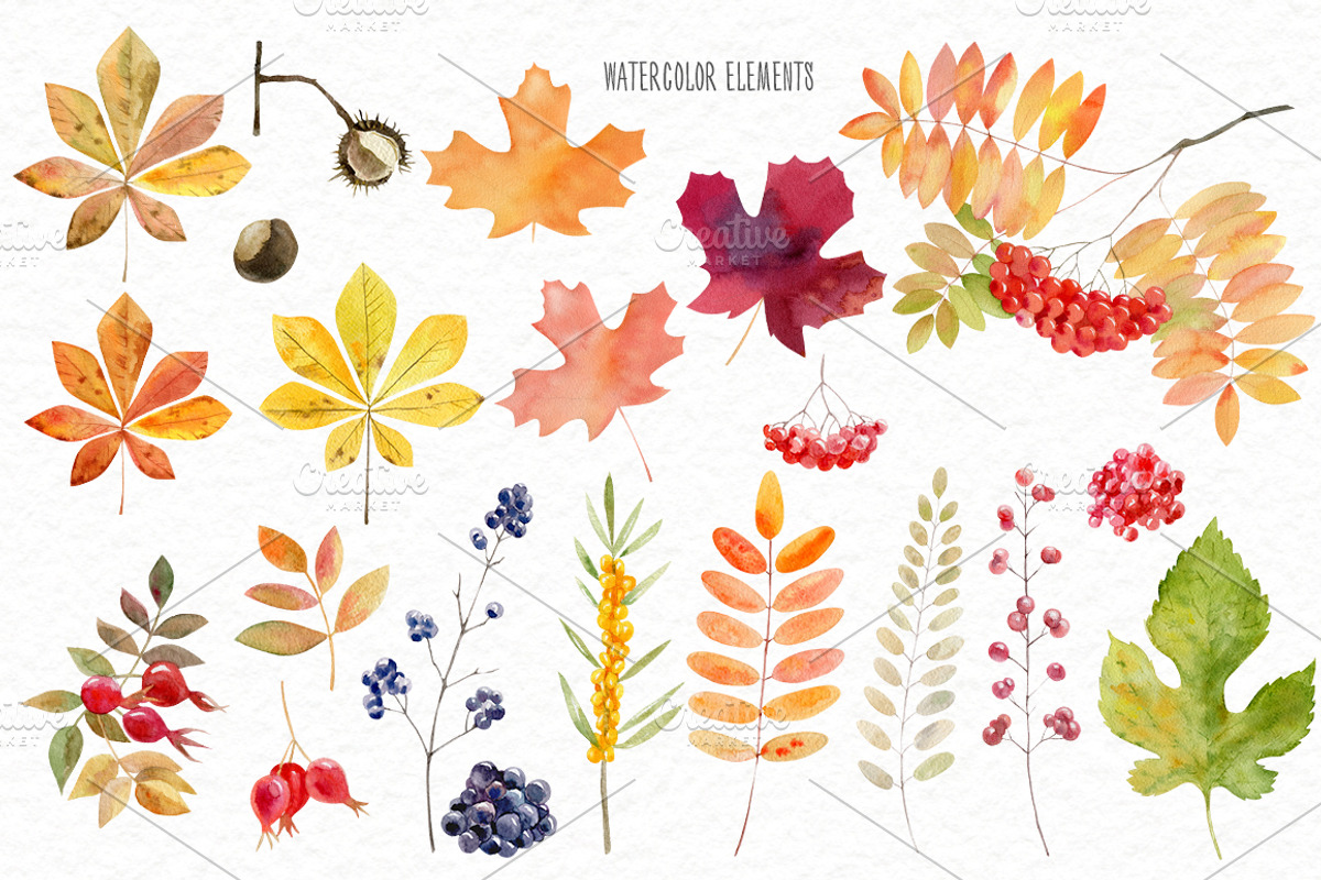Autumn rustic watercolor kit, a Decorative Illustration by Elegantia (Photo 2 of 10)