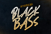 Black Bass, a Font by sabrcreative (Thumbnail 1 of 10)