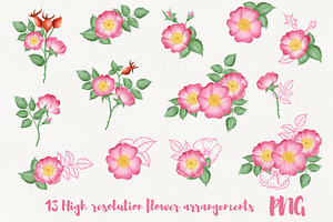 Wild Rose Clipart Rose Hip