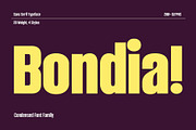 Bondia - Condensed Family, a Sans Serif Font by Arterfak Project (Thumbnail 1 of 15)