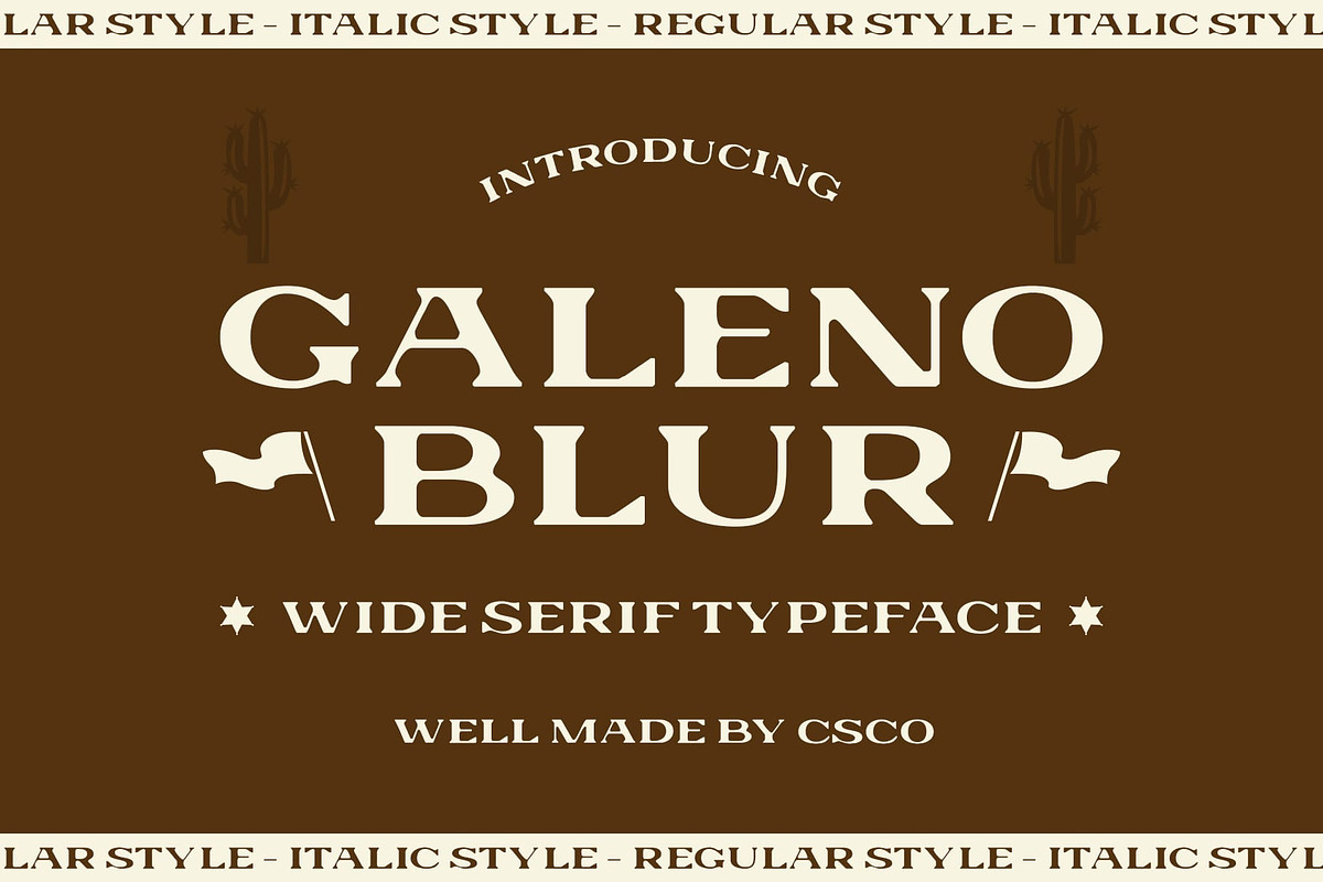 Galeno Blur, a Serif Font by Craft Supply Co. (Photo 1 of 8)
