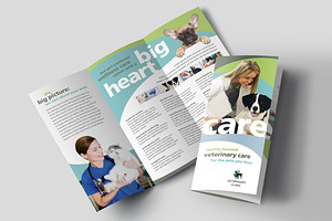 Veterinary Clinic Brochure Template, a Brochure Template by StockLayouts