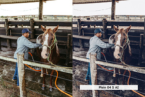 20 Equestrian Lightroom Presets LUTs