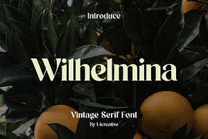 Wilhelmina Vintage Serif Font, a Serif Font by UICreative