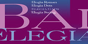 Elegia, a Serif Font by Wiescher-Design (Thumbnail 4 of 5)