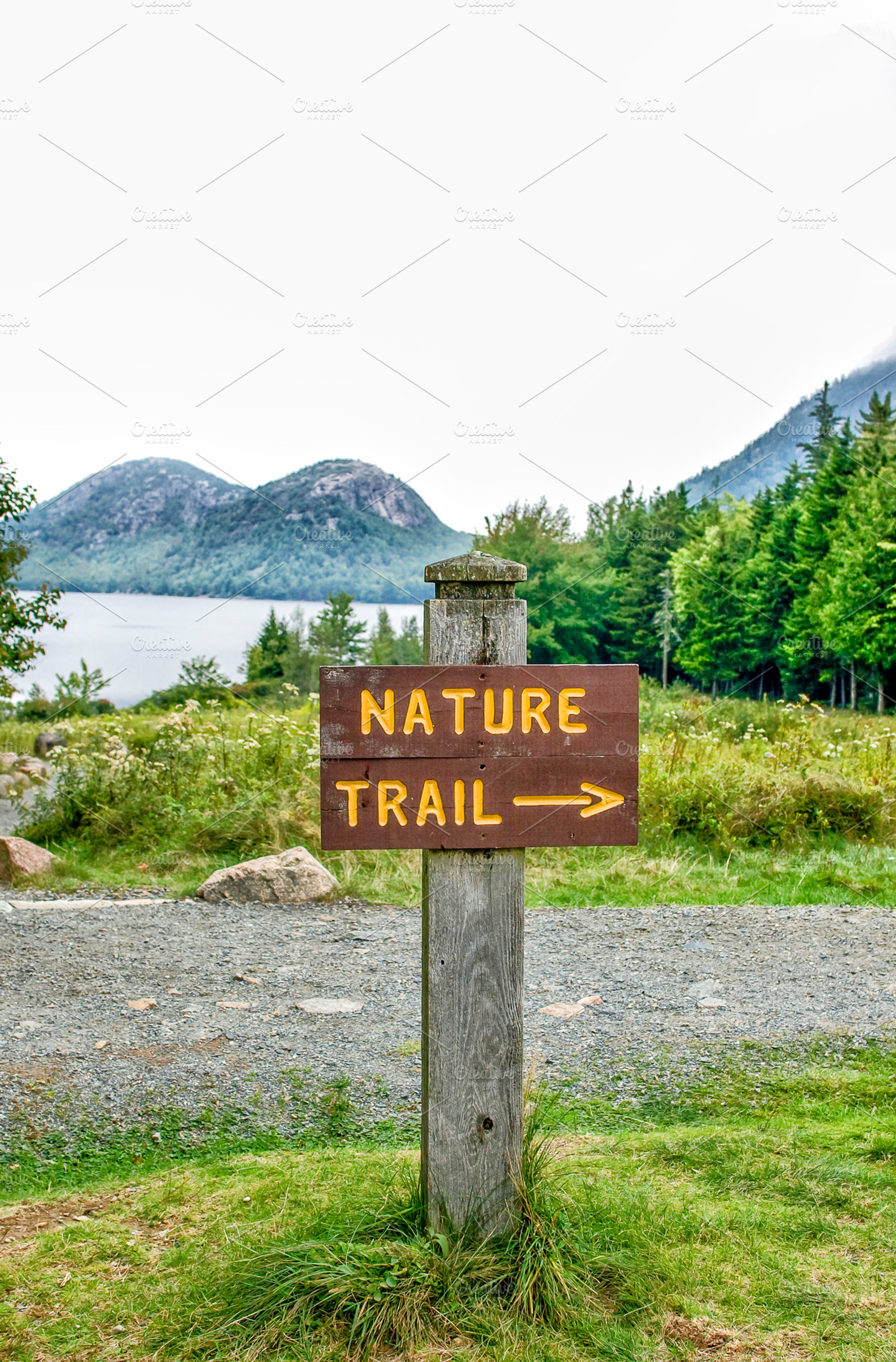 Nature Trail Sign