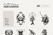 Dark Academia Ocean | Illustration, an Object Illustration by KetteCreate (Thumbnail 7 of 14)