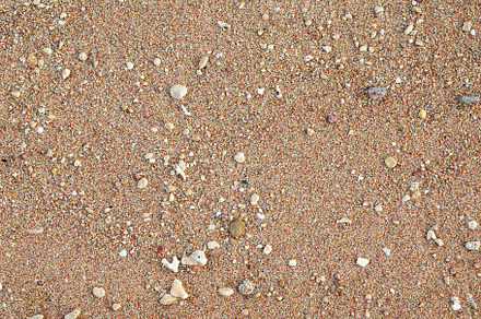 Textured beach sand background, Red Sea, Egypt, a Nature Photo by LiudmylaChuhunova