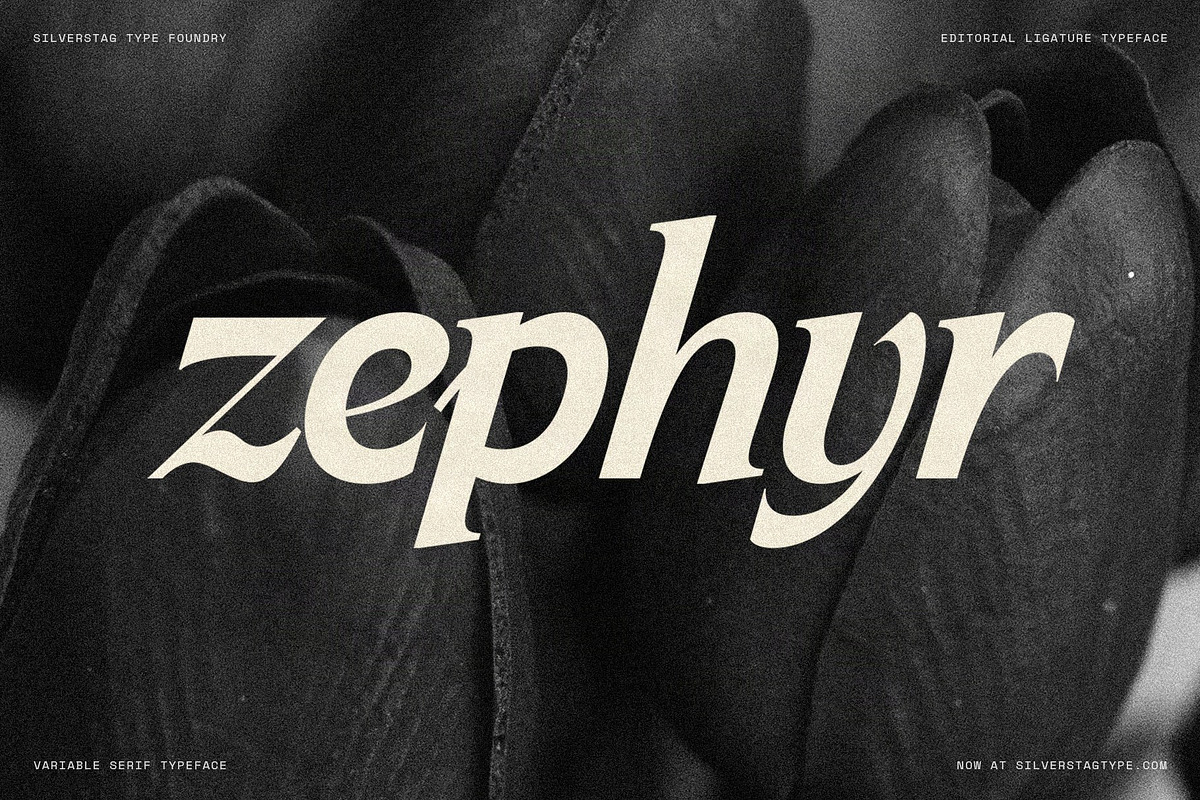 Arcilla — Variable Editorial Serif, a Serif Font by SilverStag Type Foundry (Photo 16 of 31)