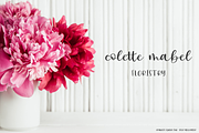 Reynolds Script and Sans Duo, a Script Font by Beck McCormick (Thumbnail 3 of 11)