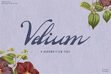 Velium - A Handwritten Script Font