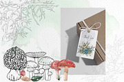 Mashrooms & Herbs Clipart, an Illustration by BalanceUA (Thumbnail 10 of 10)
