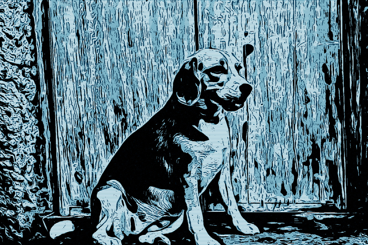 Vector Drawing Photoshop Action, an Action Add-On by MRI STUDIO (Photo 9 of 14)