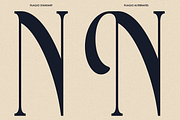 Filagio - Luxury Stylish Serif Font, a Serif Font by Font Liner (Thumbnail 8 of 10)