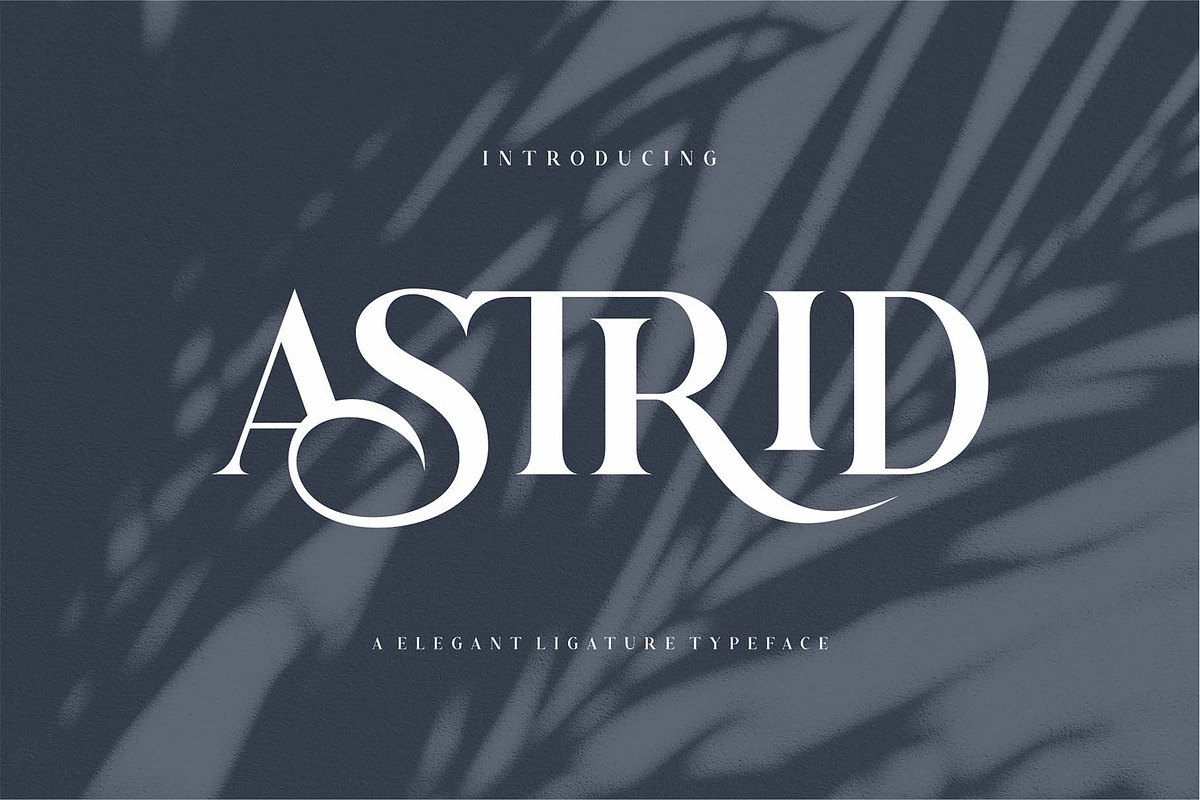 Astrid Elegant Ligature Typeface, a Serif Font by Dylla_studio (Photo 1 of 12)