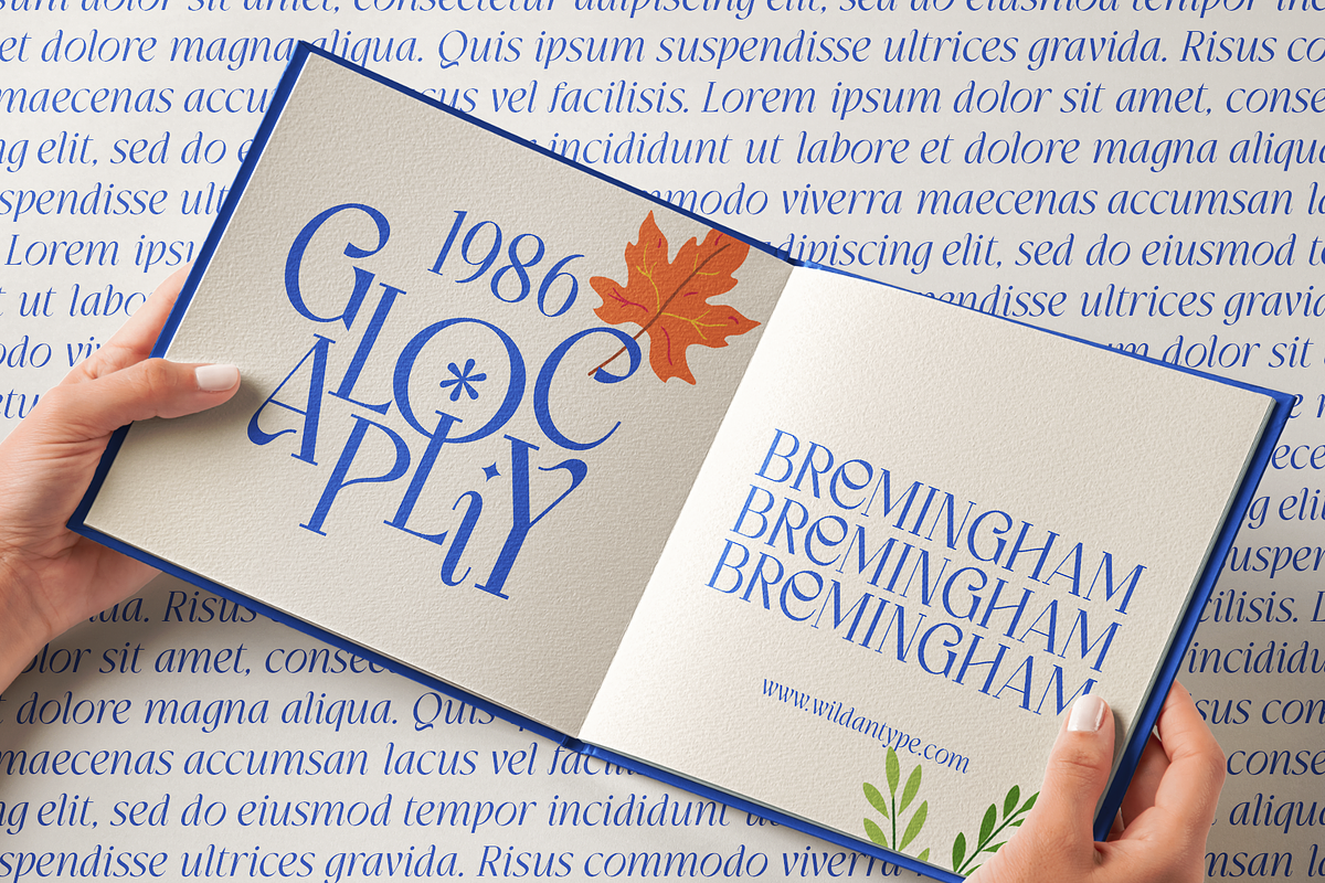 Cityzone, a Serif Font by Wildan Type (Photo 6 of 9)