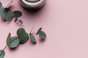 Burning aromatic candle with eucalyptus branches on pink backgro, a Health & Medical Photo by Olena Rudo