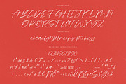 Petalik Glisten Modern Script Font, a Script Font by Letterena Studios Script (Thumbnail 13 of 15)
