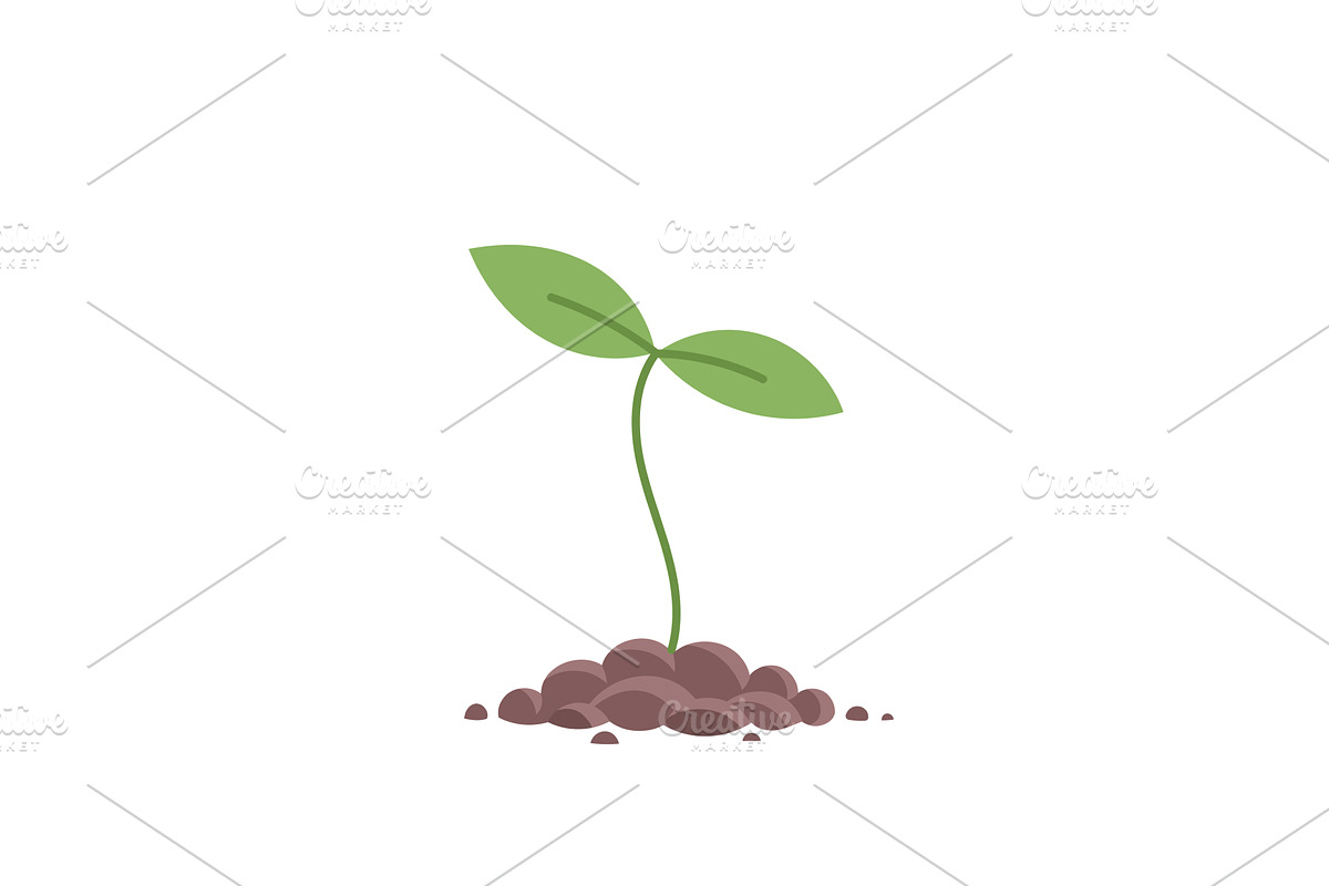 Young Plant Sprout, an Illustration by Ilia Design