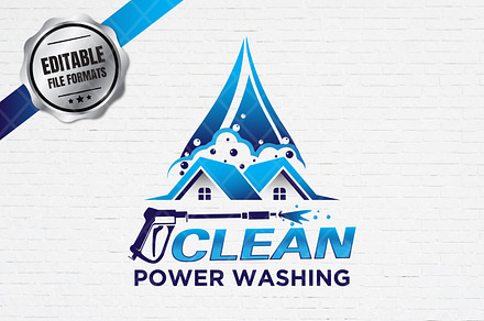 Professional Pressure Washing Logo