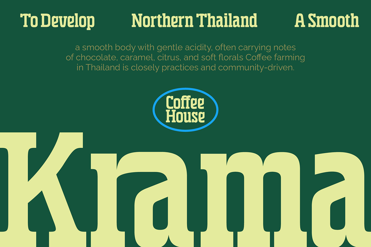 Grafik Bold Condensed Slab Serif, a Slab Serif Font by timelesstype.co (Photo 7 of 20)