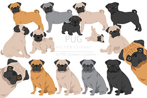 Pug Clipart