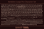 Berkshire Pro Family, a Font by Stiggy & Sands (Thumbnail 8 of 9)