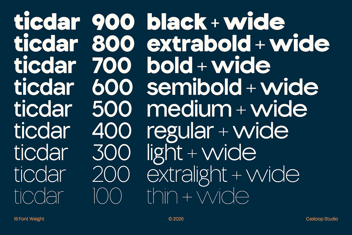 Ticdar – Editorial Typeface, a Sans Serif Font by Casloop Studio (Photo 9 of 10)