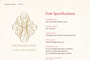 Adorn Collection, a Sans Serif Font by Laura Worthington (Thumbnail 42 of 62)