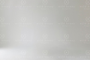 Plain White Studio Digital Backdrop