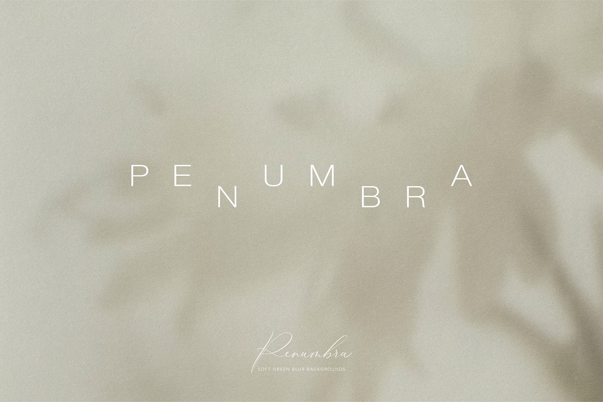 PENUMBRA Soft Green Blur Backgrounds, a Background Graphic by alonahaidash (Photo 5 of 15)