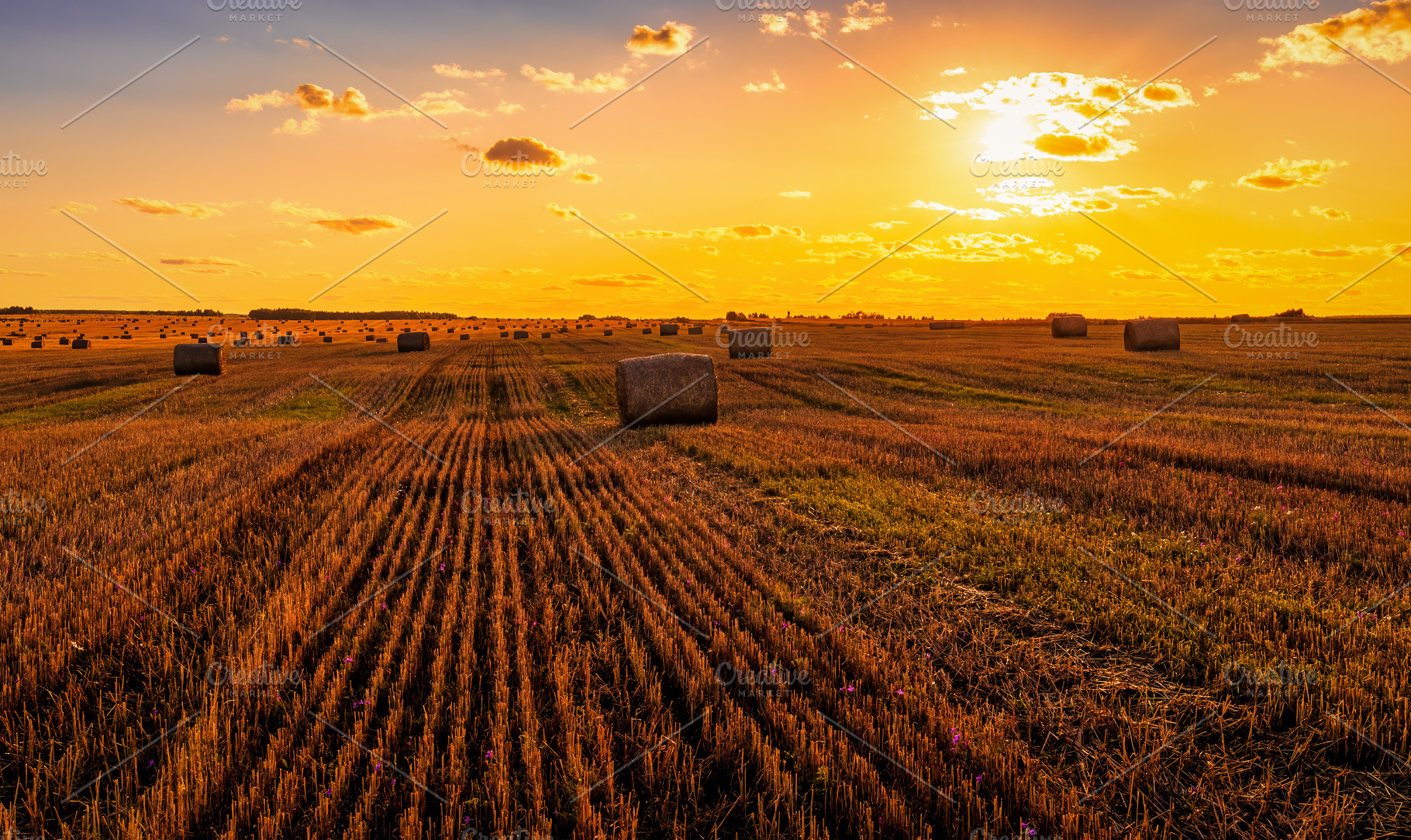 A field with haystacks at sunset., a Nature Photo by Eugene_Photo